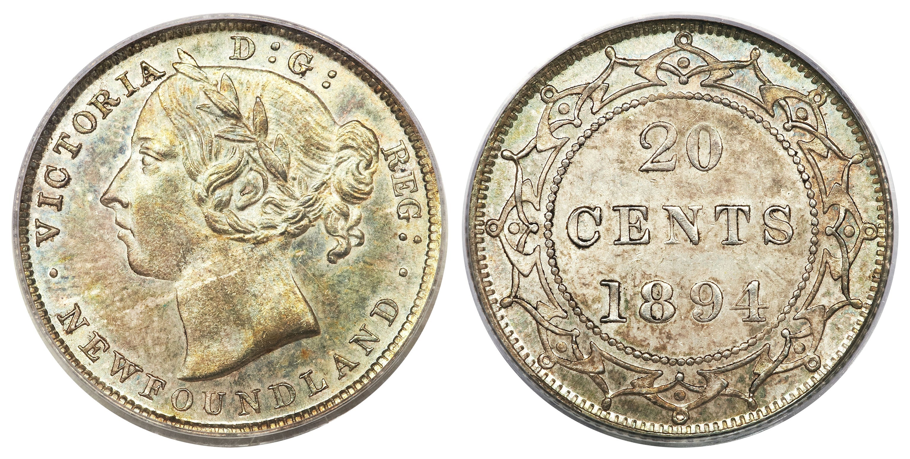 The Newfoundland Twenty Cents