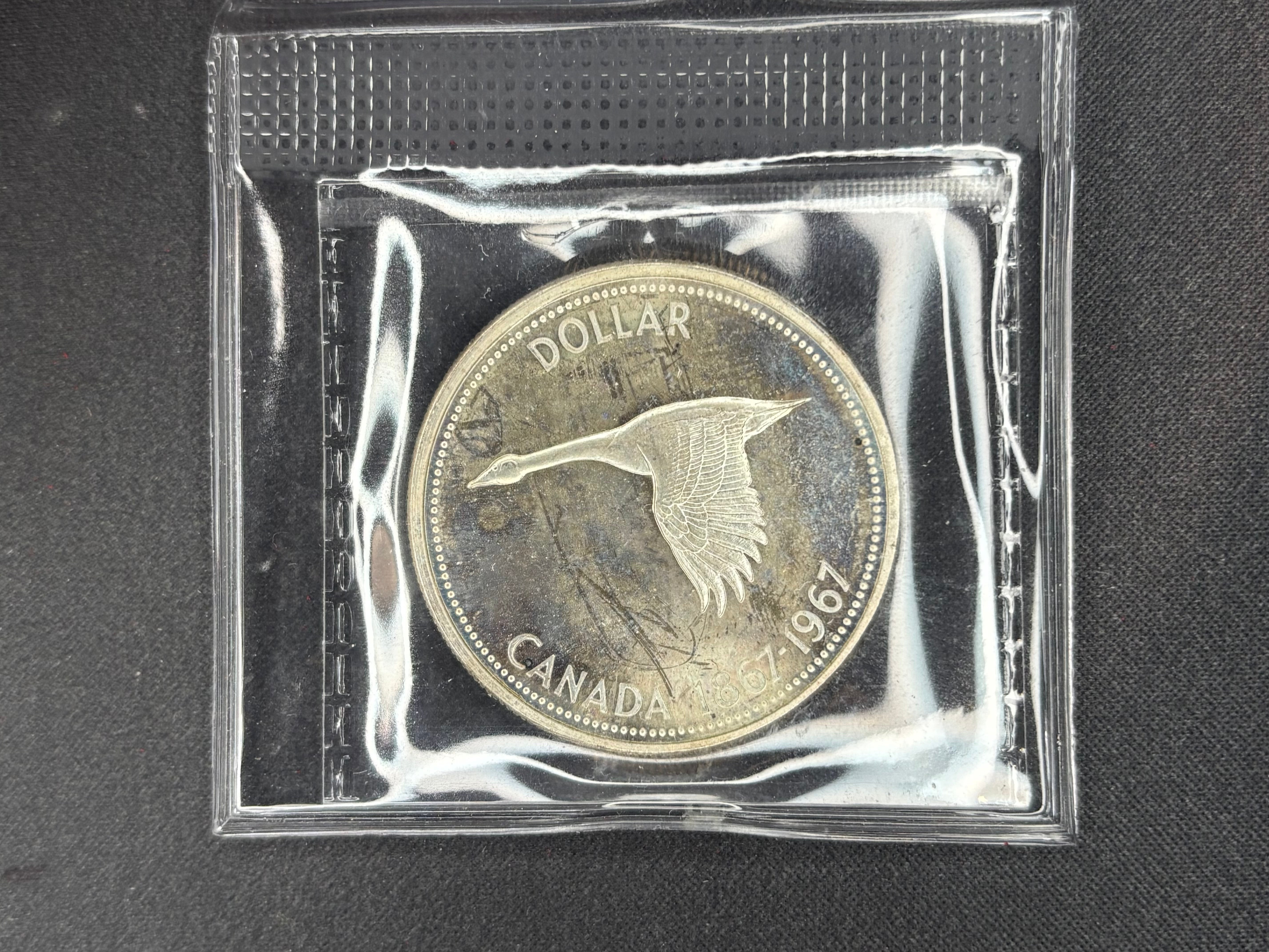 Canadian Coin - Dollar - 1967 Cameo SP67 Coin Mart