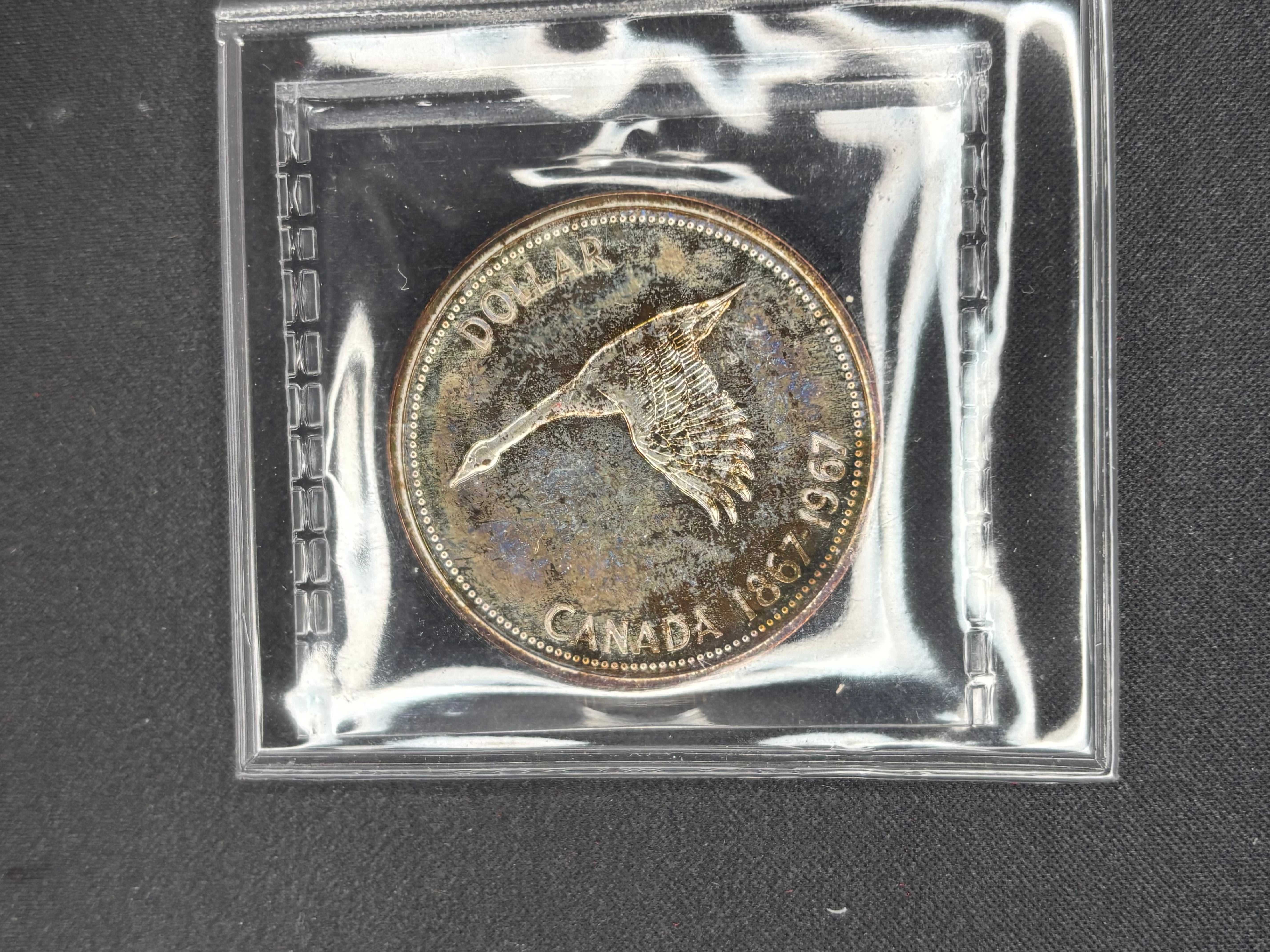 Canadian Coin - Dollar - 1967 Toned - SP65 ICCS