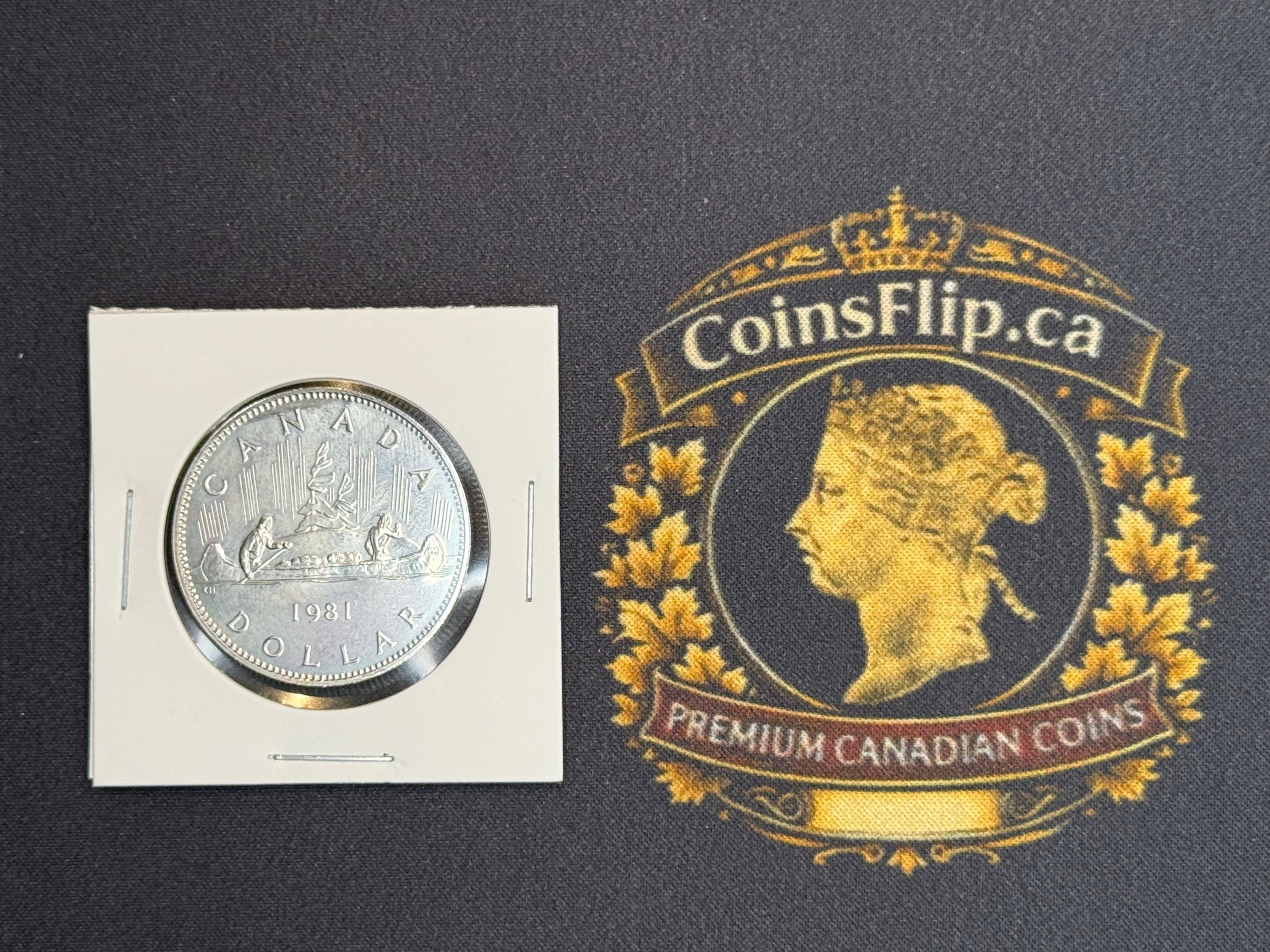 Canadian Nickel Dollar - 1981 MS64